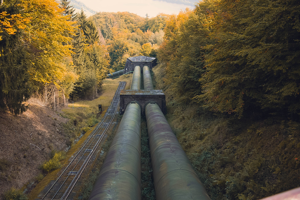 A wideshot of a pipeline running through a forest.